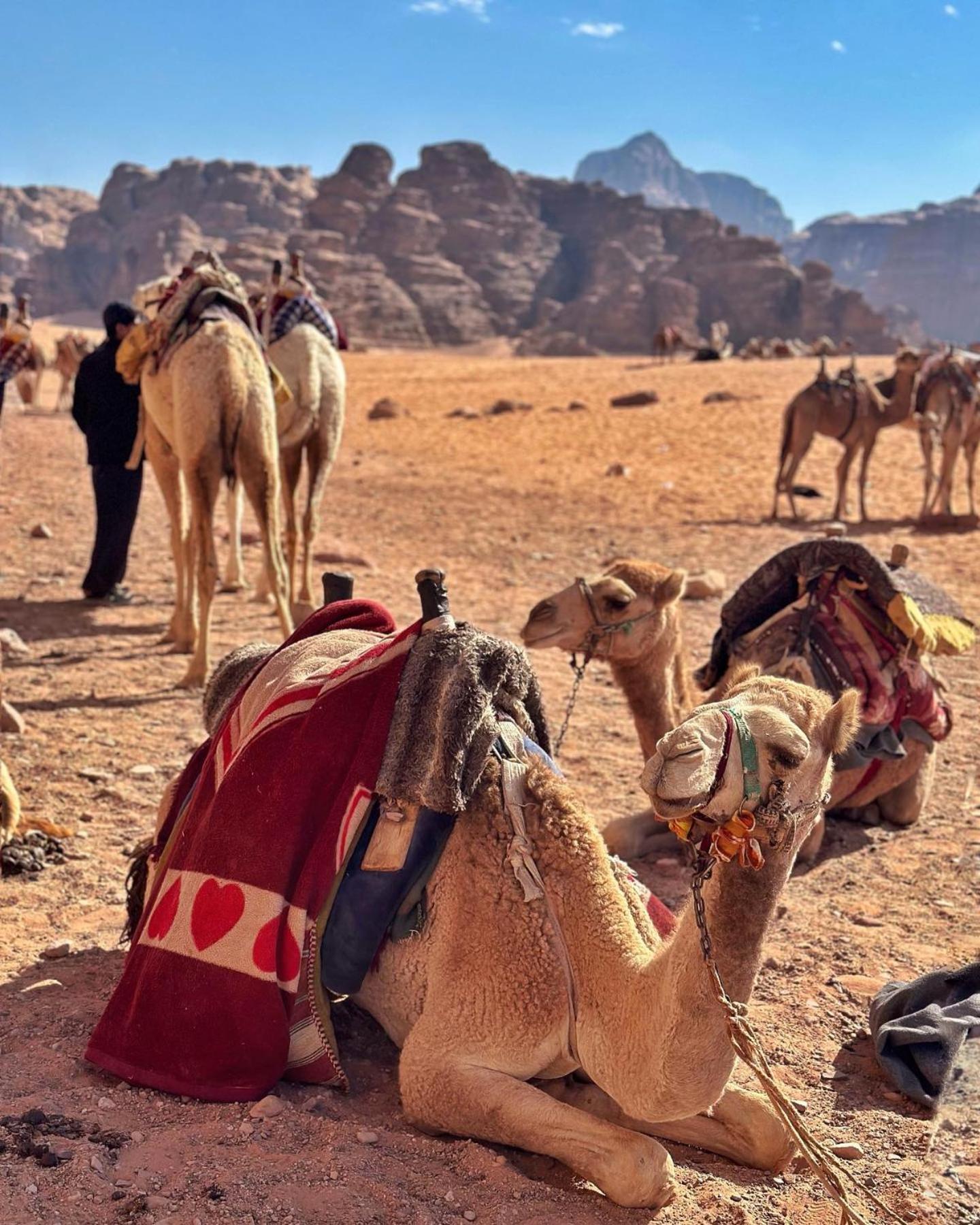 Daniela Camp Wadi Rum Exterior foto